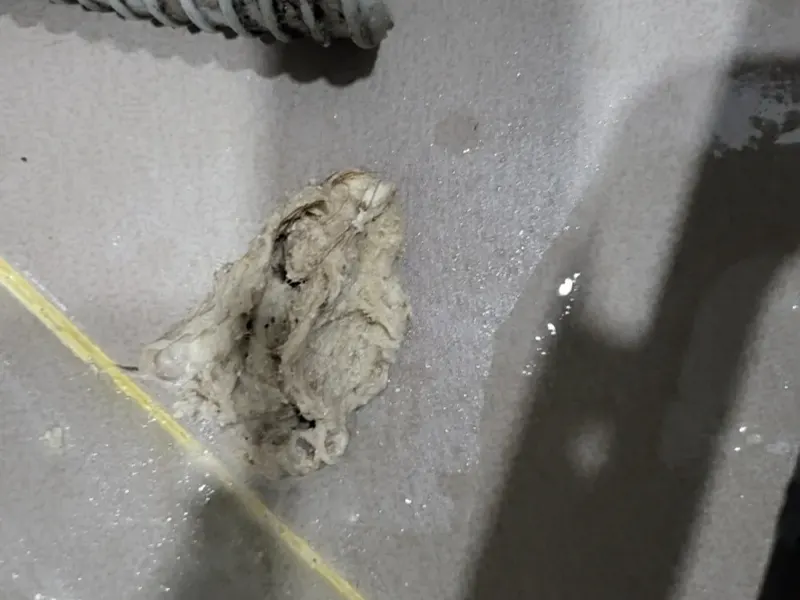 칠곡 배관에서 빼낸 이물질 덩어리